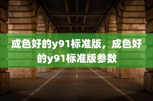 成色好的y91标准版，成色好的y91标准版参数
