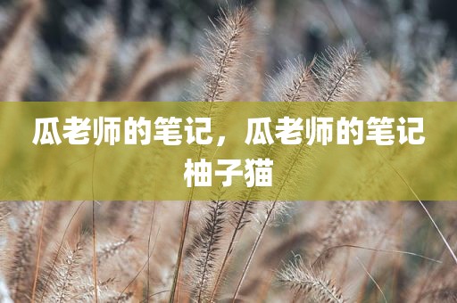 瓜老师的笔记，瓜老师的笔记柚子猫