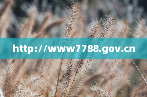 http://www7788.gov.cn