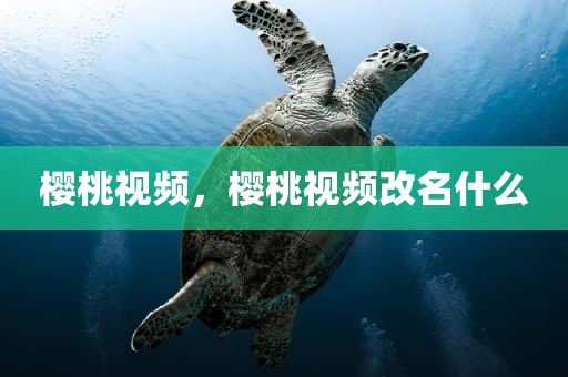 樱桃视频，樱桃视频改名什么
