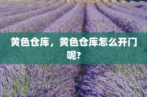 黄色仓库，黄色仓库怎么开门呢?