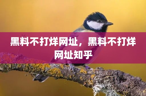 黑料不打烊网址，黑料不打烊网址知乎