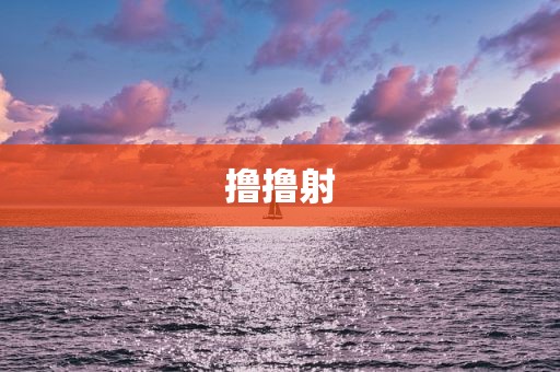撸撸射