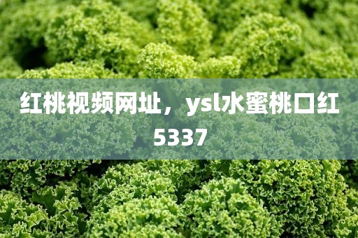 红桃视频网址，ysl水蜜桃口红5337