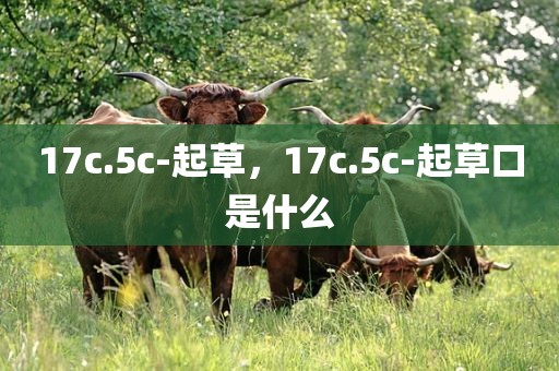 17c.5c-起草，17c.5c-起草口是什么