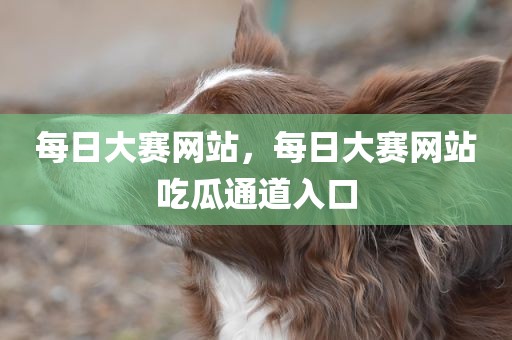 每日大赛网站，每日大赛网站吃瓜通道入口