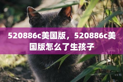520886c美国版，520886c美国版怎么了生孩子