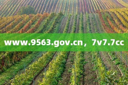 www.9563.gov.cn，7v7.7cc