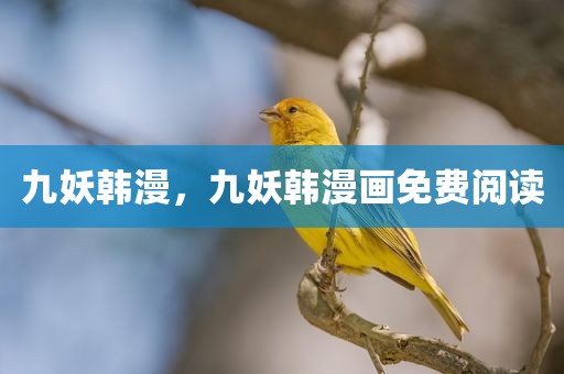 九妖韩漫，九妖韩漫画免费阅读