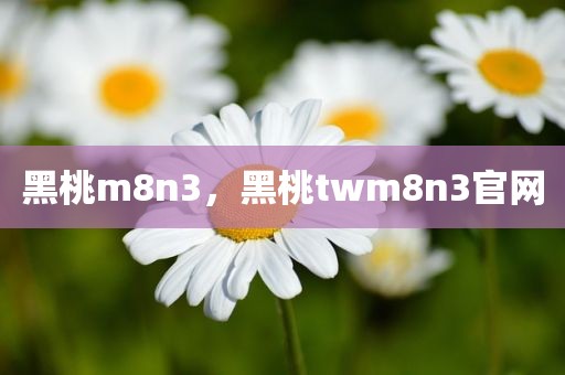 黑桃m8n3，黑桃twm8n3官网