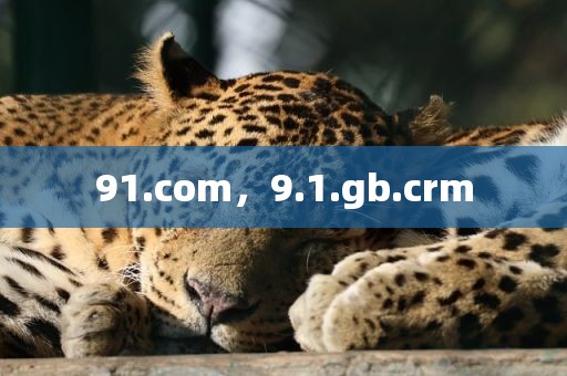 91.com，9.1.gb.crm