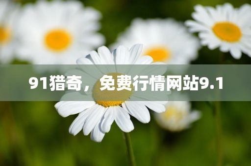 91猎奇，免费行情网站9.1