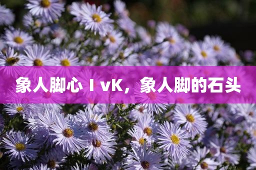 象人脚心ⅠvK，象人脚的石头