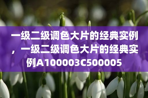 一级二级调色大片的经典实例，一级二级调色大片的经典实例A100003C500005