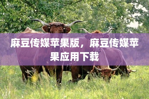 麻豆传媒苹果版，麻豆传媒苹果应用下载