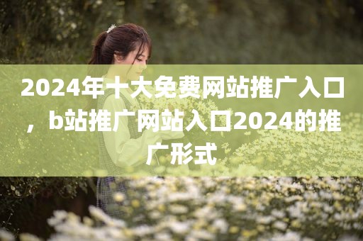 2024年十大免费网站推广入口，b站推广网站入口2024的推广形式