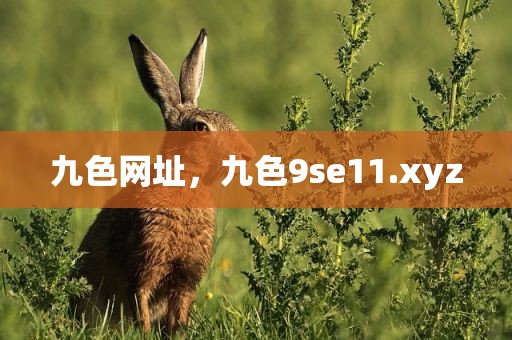 九色网址，九色9se11.xyz