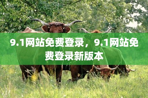 9.1网站免费登录，9.1网站免费登录新版本