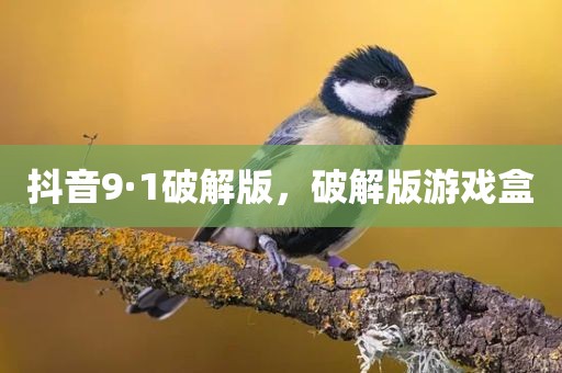 抖音9·1破解版，破解版游戏盒