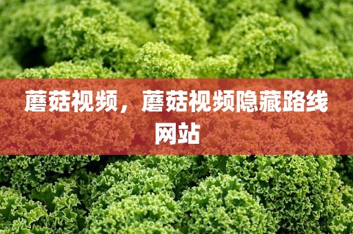 蘑菇视频，蘑菇视频隐藏路线网站
