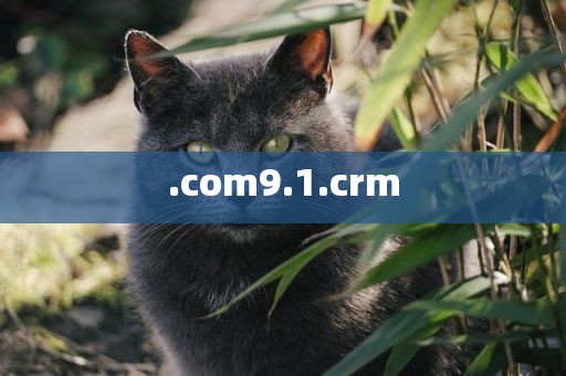.com9.1.crm