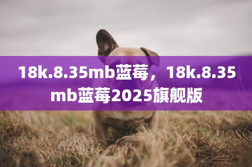 18k.8.35mb蓝莓，18k.8.35mb蓝莓2025旗舰版
