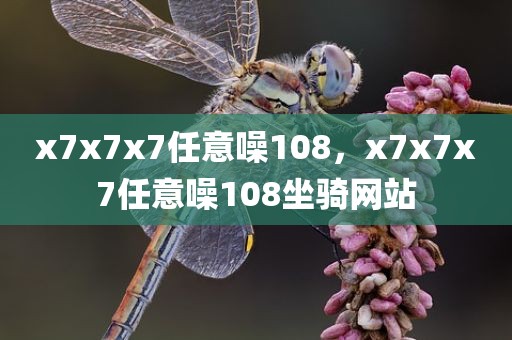 x7x7x7任意噪108，x7x7x7任意噪108坐骑网站