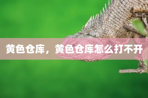 黄色仓库，黄色仓库怎么打不开