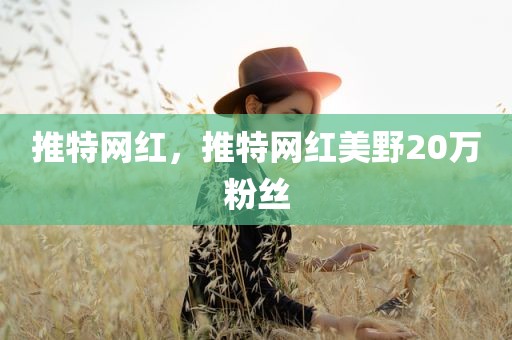 推特网红，推特网红美野20万粉丝