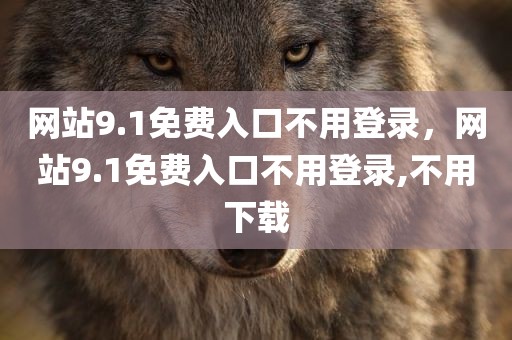 网站9.1免费入口不用登录，网站9.1免费入口不用登录,不用下载