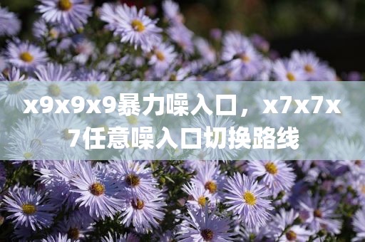 x9x9x9暴力噪入口，x7x7x7任意噪入口切换路线