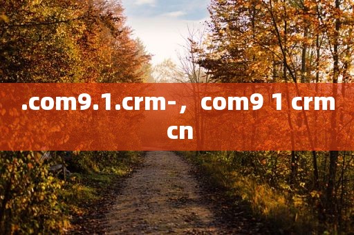 .com9.1.crm-，com9 1 crm cn