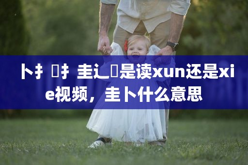 卜扌喿扌圭辶畐是读xun还是xie视频，圭卜什么意思