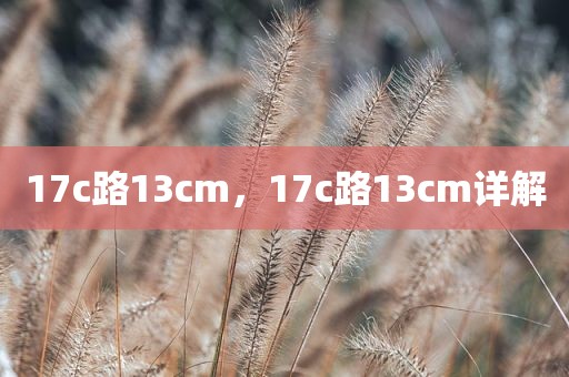 17c路13cm，17c路13cm详解
