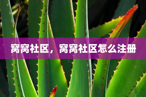 窝窝社区，窝窝社区怎么注册