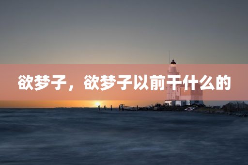 欲梦子，欲梦子以前干什么的