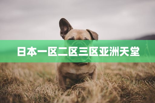 日本一区二区三区亚洲天堂