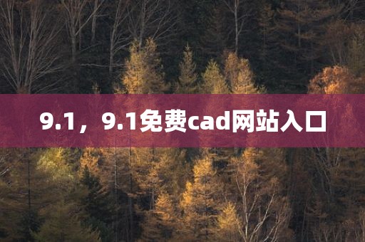 9.1，9.1免费cad网站入口