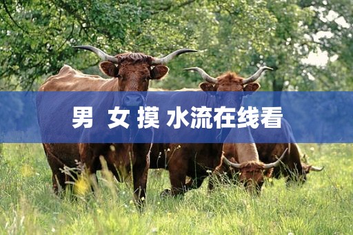 男  女 摸 水流在线看