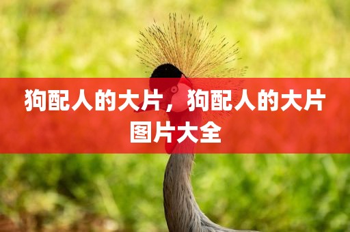 狗配人的大片，狗配人的大片图片大全