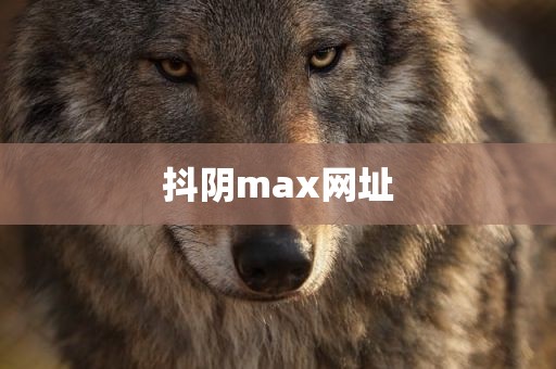 抖阴max网址