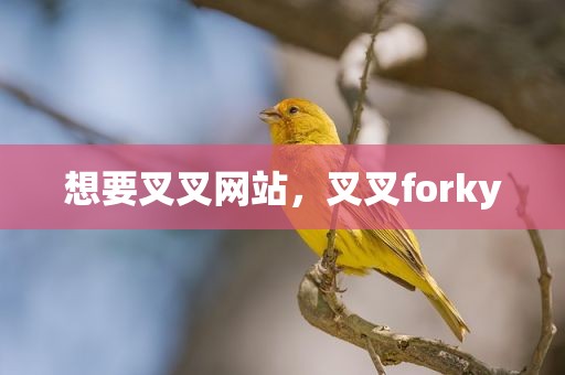 想要叉叉网站，叉叉forky