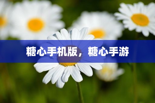 糖心手机版，糖心手游