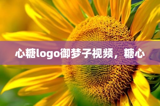 心糖logo御梦子视频，糖心