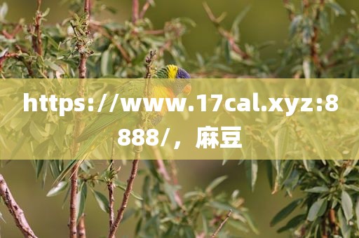 https://www.17cal.xyz:8888/，麻豆