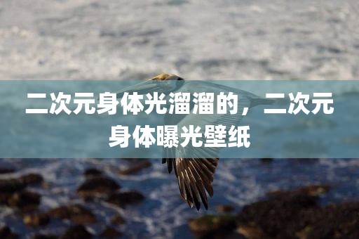 二次元身体光溜溜的，二次元身体曝光壁纸