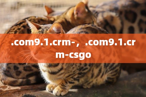 .com9.1.crm-，.com9.1.crm-csgo