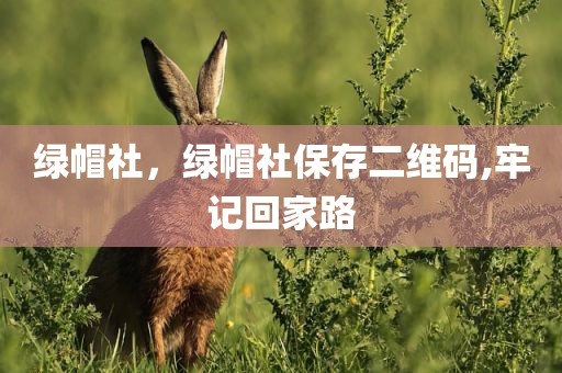 绿帽社，绿帽社保存二维码,牢记回家路