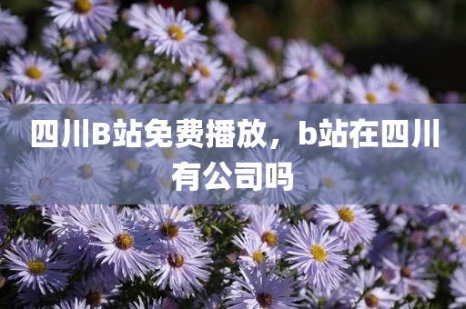 四川B站免费播放，b站在四川有公司吗