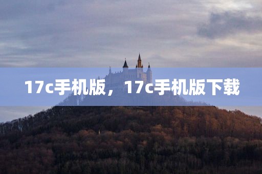 17c手机版，17c手机版下载